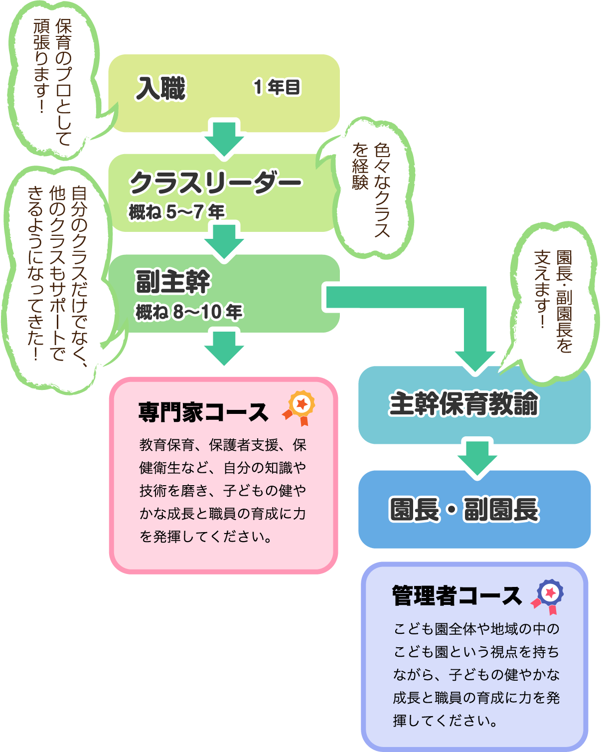 入職1年目「保育のプロとして頑張ります!」→クラスリーダー概ね5〜7年「色々なクラスを経験」→副主幹概ね8〜10年「自分のクラスだけでなく、他のクラスもサポートできるようになってきた!」→専門家コース 教育保育、保護者支援、保健衛生など、自分の知識や技術を磨き、子どもの健やかな成長と職員の育成に力を発揮してください。/主幹保育教諭「 園長・副園長を支えます!」→園長・副園長 管理者コース こども園全体や地域の中のこども園という視点を持ちながら、子どもの健やかな成長と職員の育成に力を発揮してください。